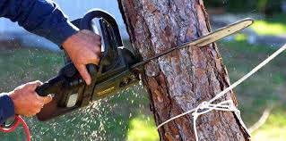 Best Lawn Irrigation Installation and Maintenance  in Lwa, CA