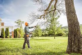 Best Aeration Services  in Lwa, CA