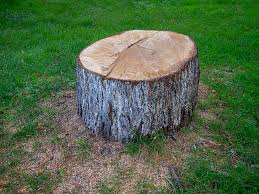 Best Firewood Processing and Delivery  in Lwa, CA