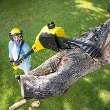 Best Lot and Land Clearing  in Lwa, CA
